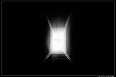 E6395_Z_Mm