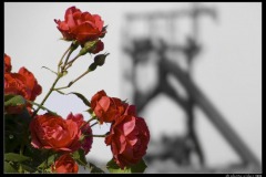 2009-06-3
