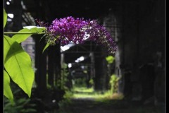 09