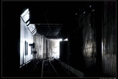 09