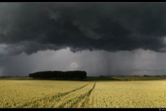 P2206_P_R